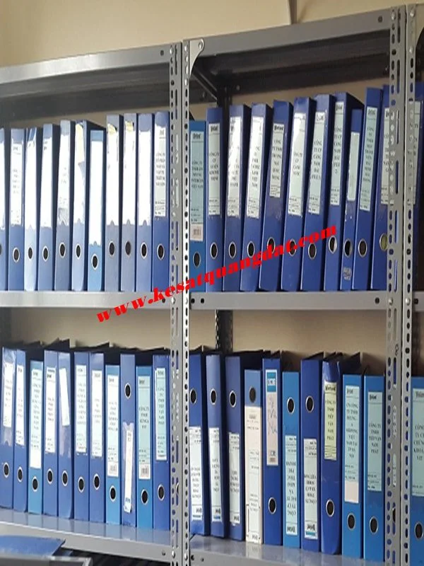 Shelves storage profile HS10